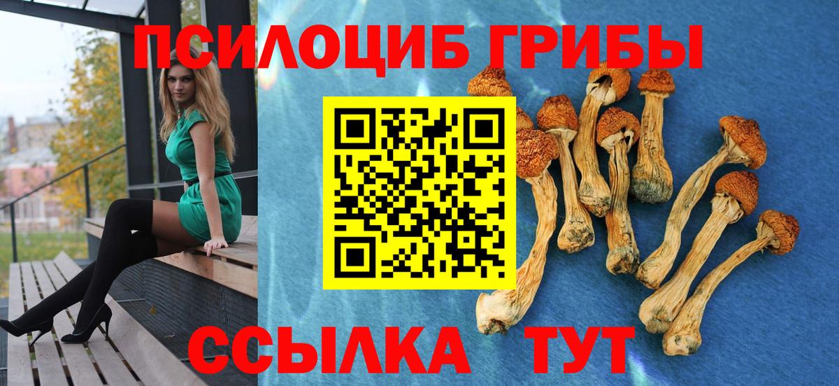 наркотики  Артём  Псилоцибиновые грибы мухоморы 